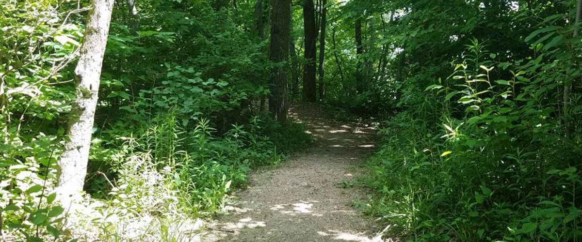 Active Transportation Path